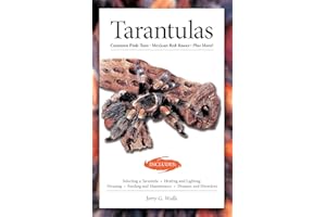 Tarantulas (Advanced Vivarium Systems)