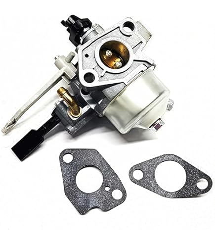 Amazon.com: WHFZN 592594 Carburetor For Briggs & Stratton XR1450
