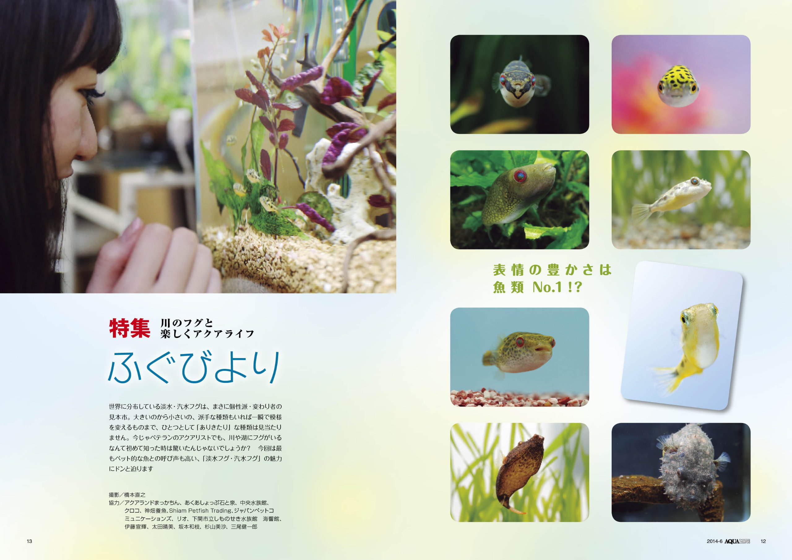 月刊 Aqua Life アクアライフ 14年 06月号 本 通販 Amazon