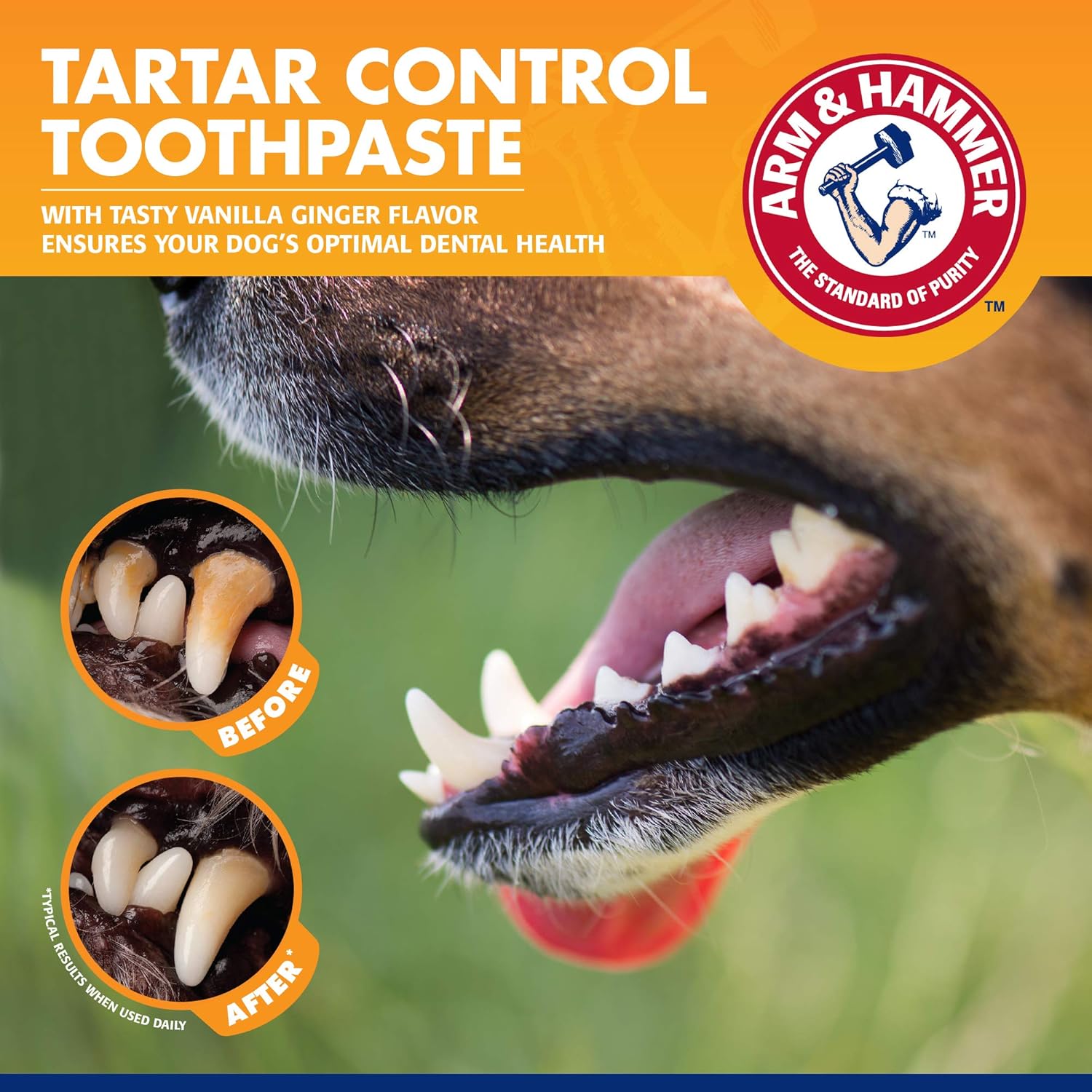 Arm & Hammer Tartar Control Travel Dental Kit for Puppies, Vanilla