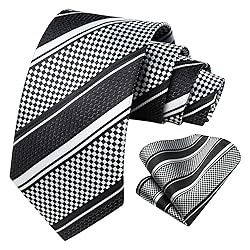 HISDERN Mens Tie Black White Stripe Tie and Pocket