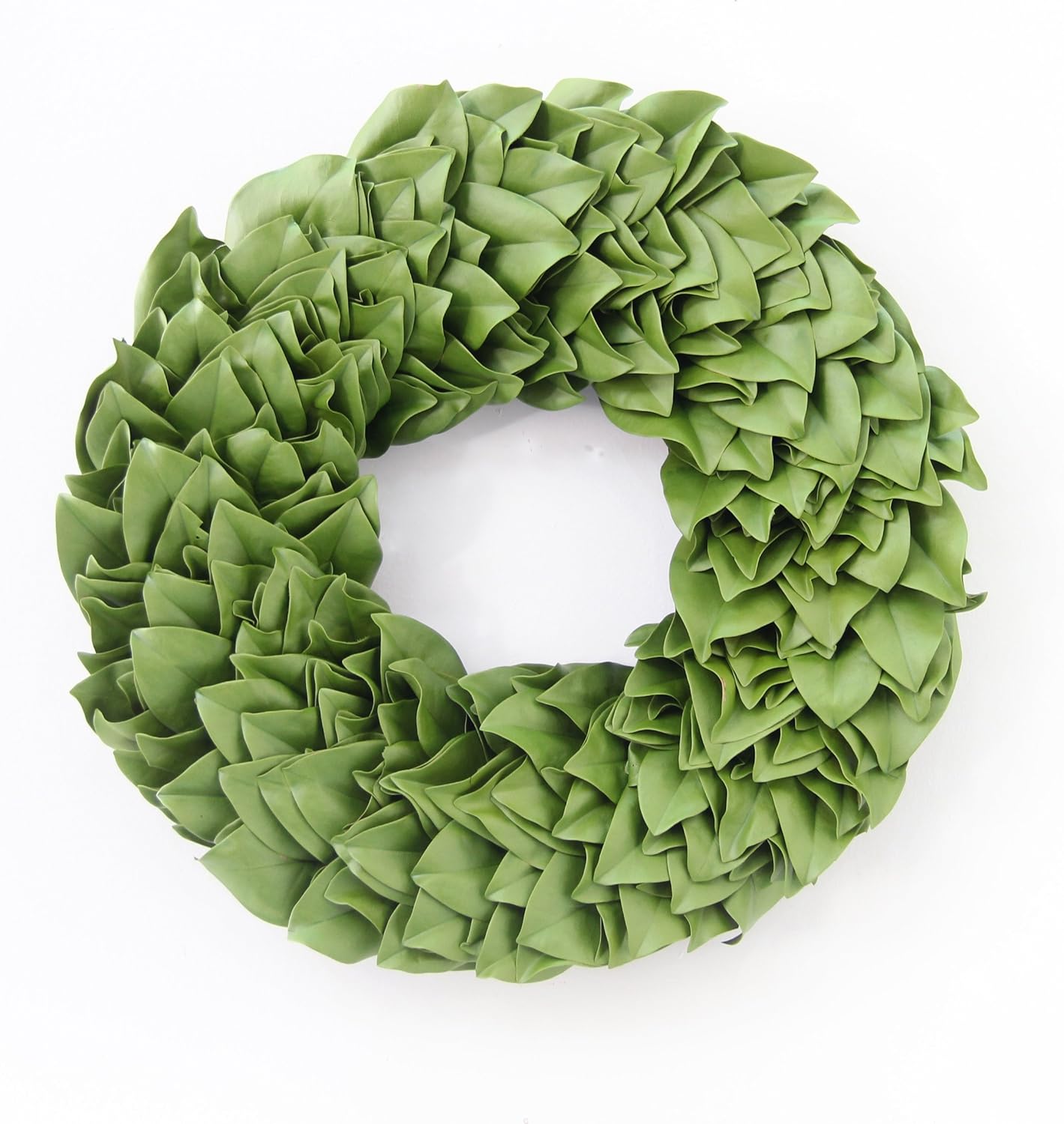 The Magnolia Company All Natural Greenery Magnolia Wreath - Dried and Color Enhanced to a beautiful sage green home accent wreath.