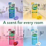 Zoflora Rhubarb & Cassis 6pc 250ml Concentrated 3-in-1 Disinfectant view 7