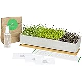 Amazon.com : Reclaimed Barnwood Planter Box Mini Herb Garden Kit - Grow