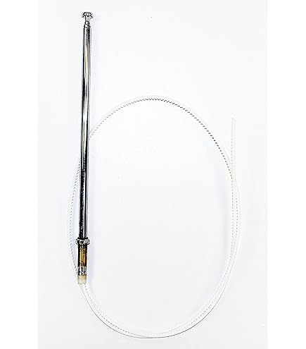 Amazon.com: AntennaMastsRus - Power Antenna Mast is