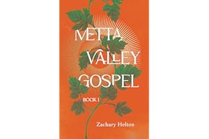 Metta Valley Gospel: Book 1 (The Metta Valley Gospel Series)