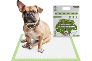 POGI'S PET SUPPLIES Pogi's Dog Training Pads with Adhesive Sticky Tabs (40-Count) (24x24in) - Large Puppy Pads, Earth-Friendly Dog Pads, Plant-Based Puppy Pee Pads for Dogs - Puppy Supplies for Small to Large Sized Dogs