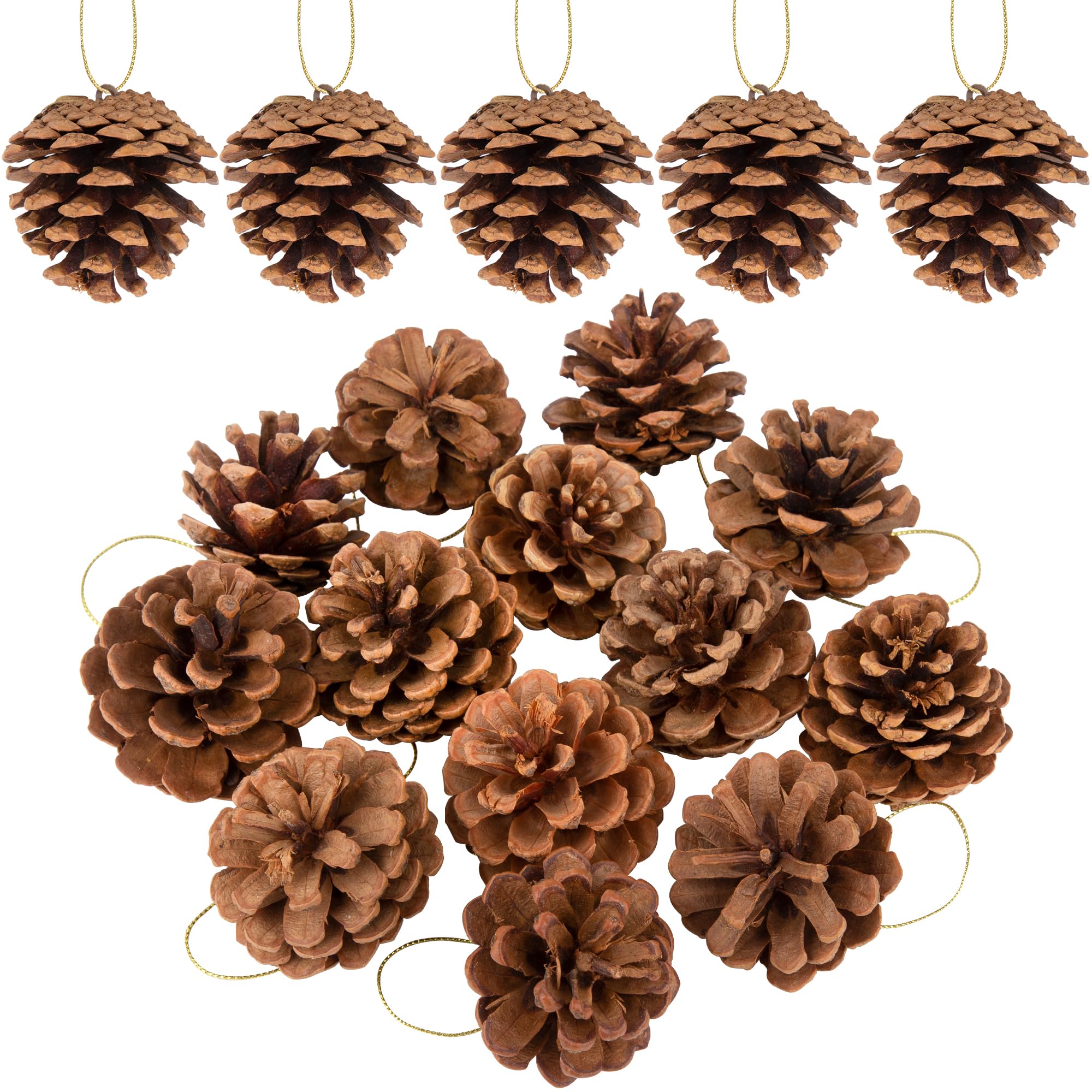 Photo 1 of 12PCS Christmas Pine Cones Ornaments with String 2"-2.3" Natural Medium Pinecone Hanging Ornaments, for Christmas Tree Decoration, Home Holiday DIY Wreath Crafts, Fall Winter Gift Box Decor