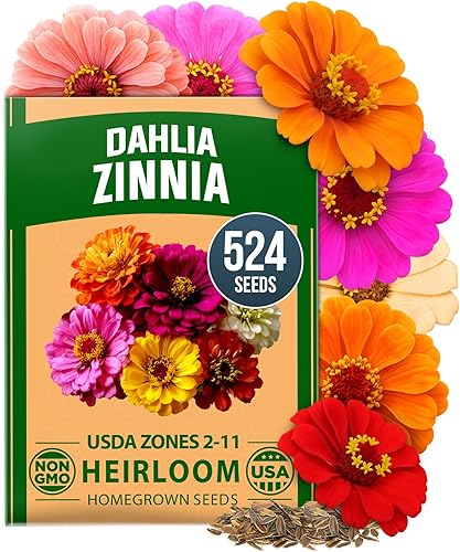 HOME GROWN Zinnia Dahlia Seeds Pack for 2026 Non GMO 524 Flower Seeds | Vibrant Zinnia Elegans for Pollinator Gardens, Borders & Containers | Easy-to-Grow Outdoor Blooms