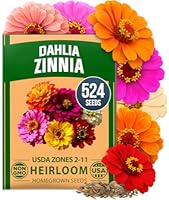 Best Herb Gardens