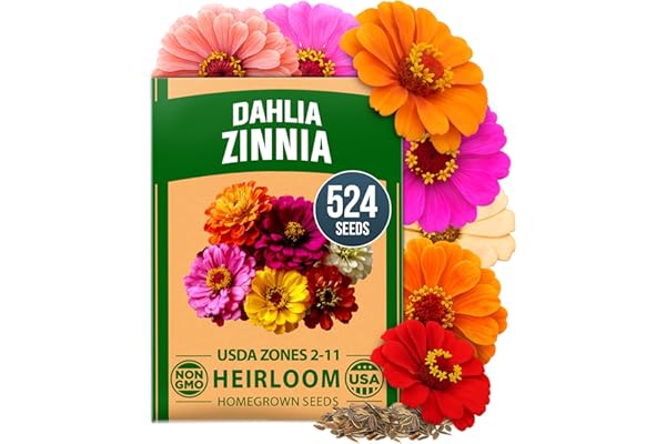Best Herb Gardens