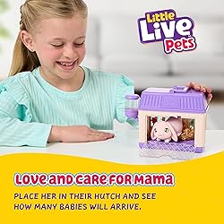 Little Live Pets Bunny Mini Interactive Toy