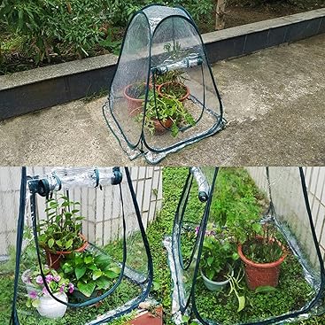 TentHome Mini Garten Gewächshaus Faltbar Gewächshauszelte Wasserdicht