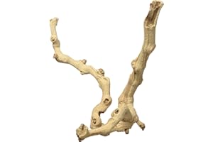 Zoo Med Sandblasted Grapevine, Medium, 12-Inch