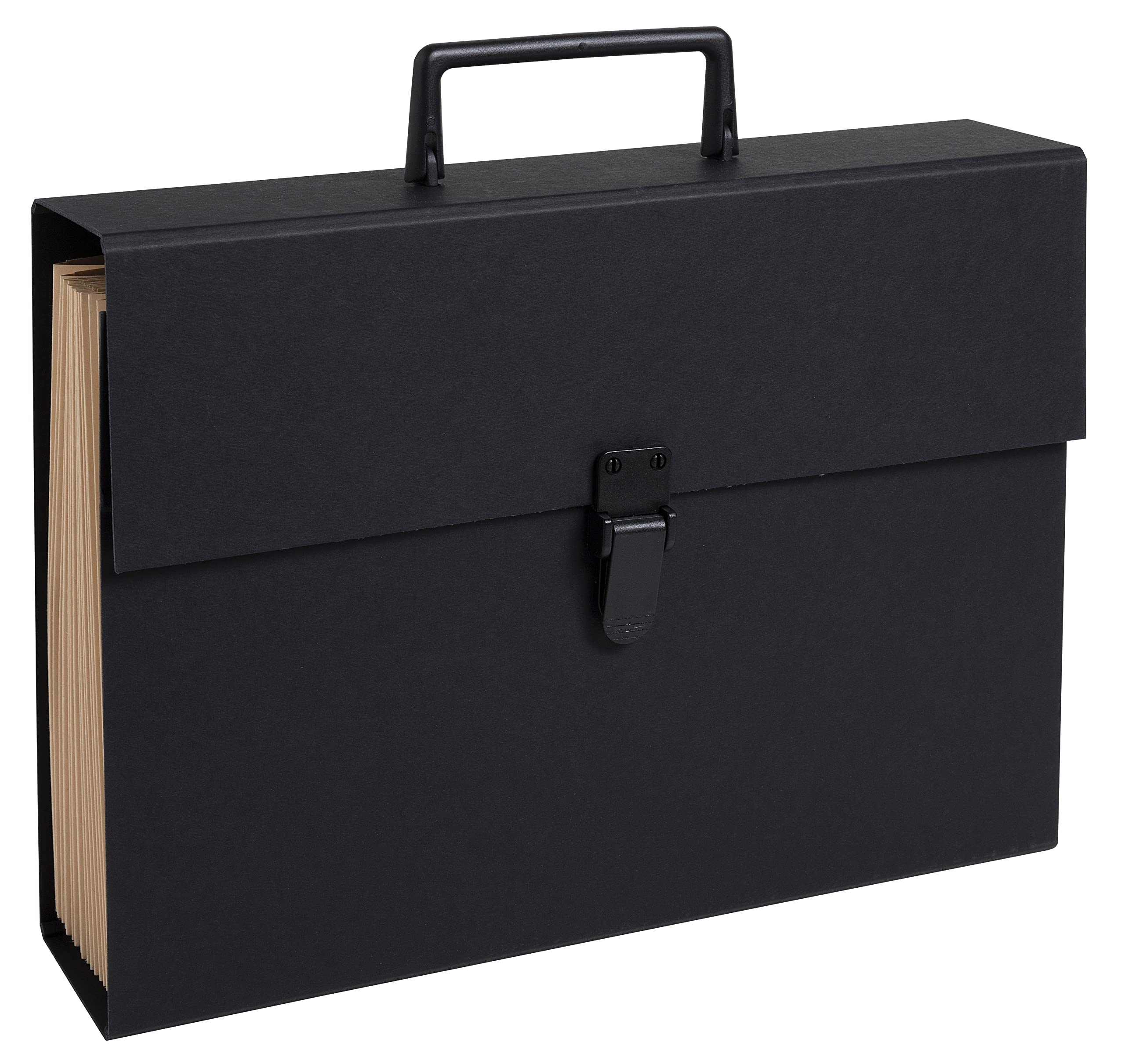 Exacompta 58421E Premium Document Case with Clip Closure and Carry Handle DIN A4 20 Compartments 34.5 x 24.5 x 8 cm Black