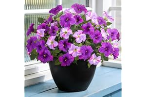 6 Pcs Artificial Petunia Flowers for Outdoor, Fake Spring Petunias Faux Silk Flowers for Outdoors UV Resistant Plants for Pla