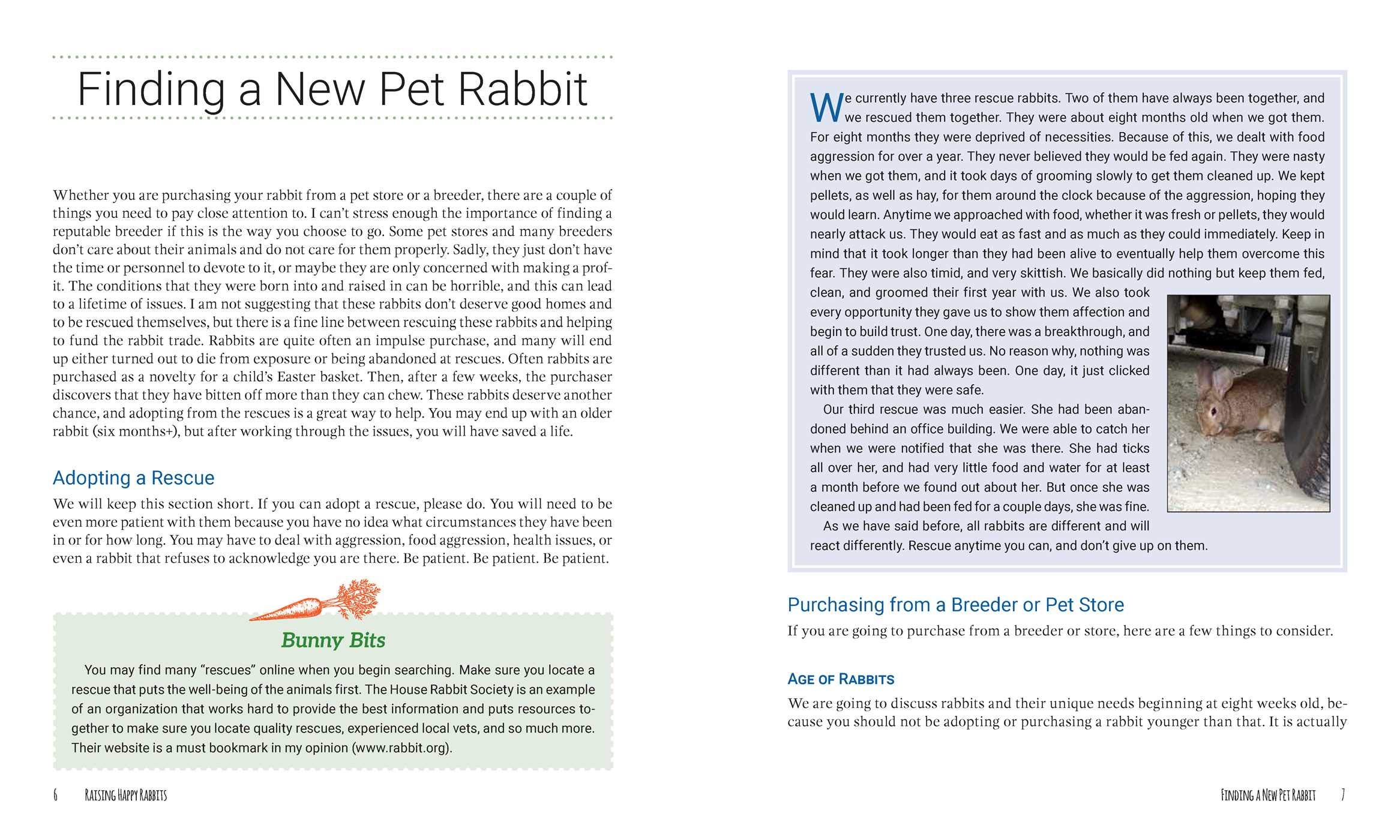 Raising Happy Rabbits: Housing, Feeding, and Care Instructions for Your Rabbit's First Year