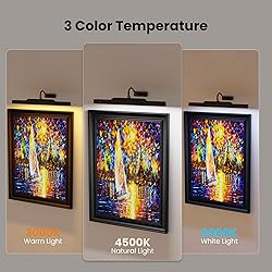 Dimmable Cordless Picture Light with Controller and