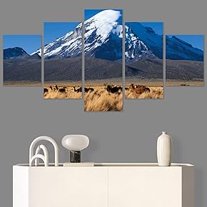 SIGNWIN 5 Panel Canvas Wall Art Modern Art...