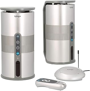 VSG SP-1180 Design Funk Lautsprecher Set mit Fernbedienung – Kabelloser, tragbarer Audio Speaker, Reichweite bis 100 Meter, Plug&Play, IPX3 - Silber