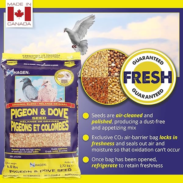 HAGEN PIGEON & DOVE SEED – ORIGINAL FORMULA BIRD FOOD, 6 LB BAG – NUTRITIONALLY COMPLETE SEED MIX WITH VITAMINS & MINERALS – WILD & CAPTIVE BIRD DIET – INSECT-RESISTANT AIR-TIGHT PACKAGING