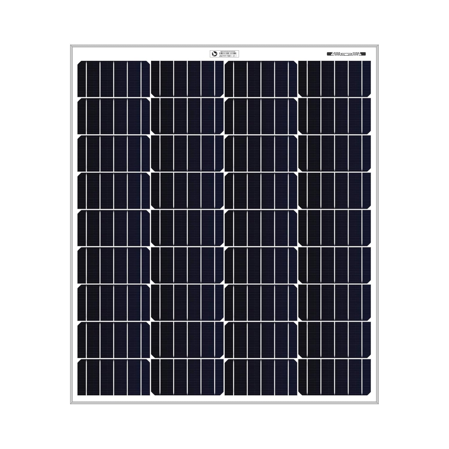 Bluebird Solar Panel 100 Watt 12 Volt Mono PERC Solar Panel Amazon