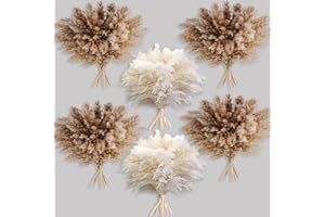 KOCAT 60 PCS Boho Decor, Fluffy Pompas Grass, Natural Dry Pampas Grass Small, Short Pampass Bulk for Boho Room Decor, Coffee Table Decor (17 inch )