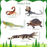 toymany 12PC Reptile Animal Figurines Set Cold Blooded Amphibians Jungle Lizard view 4