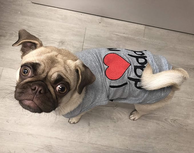 i love my daddy dog shirt
