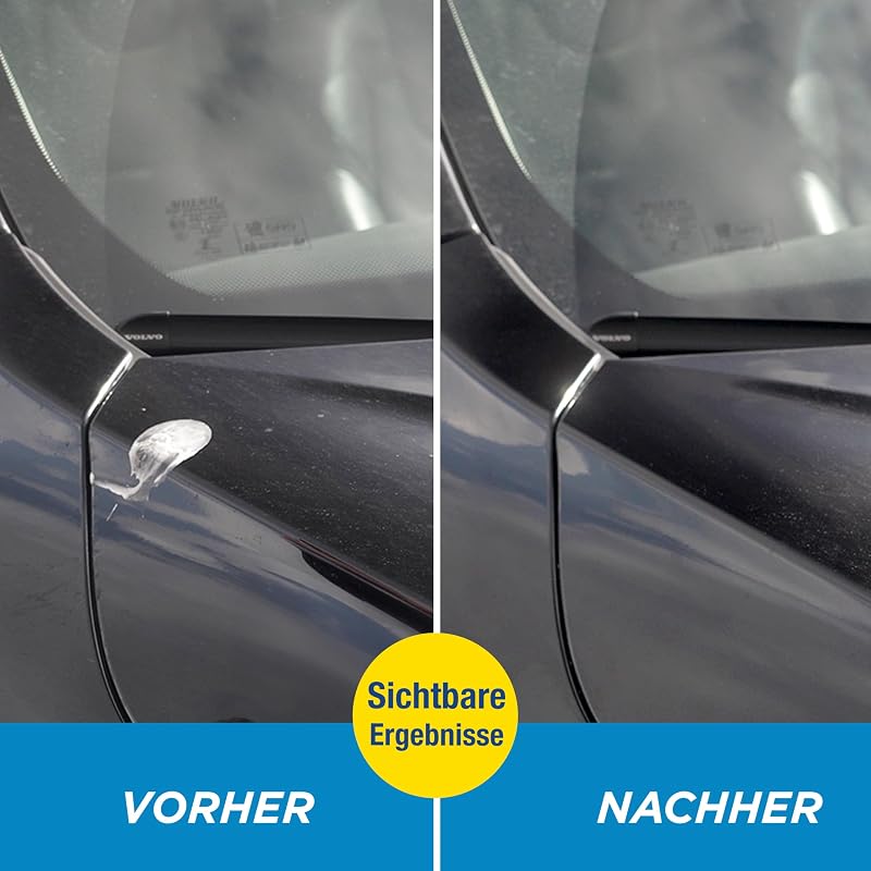 Insektenentferner Auto - Für Windschutzscheibe, Lack & Karosserie