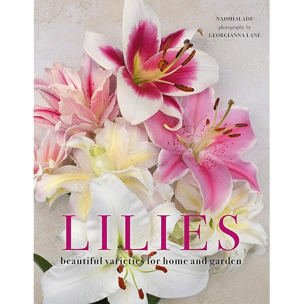 Amazon.com: Lilies (Floramour): 9783961715473: Hägele, Till: Books