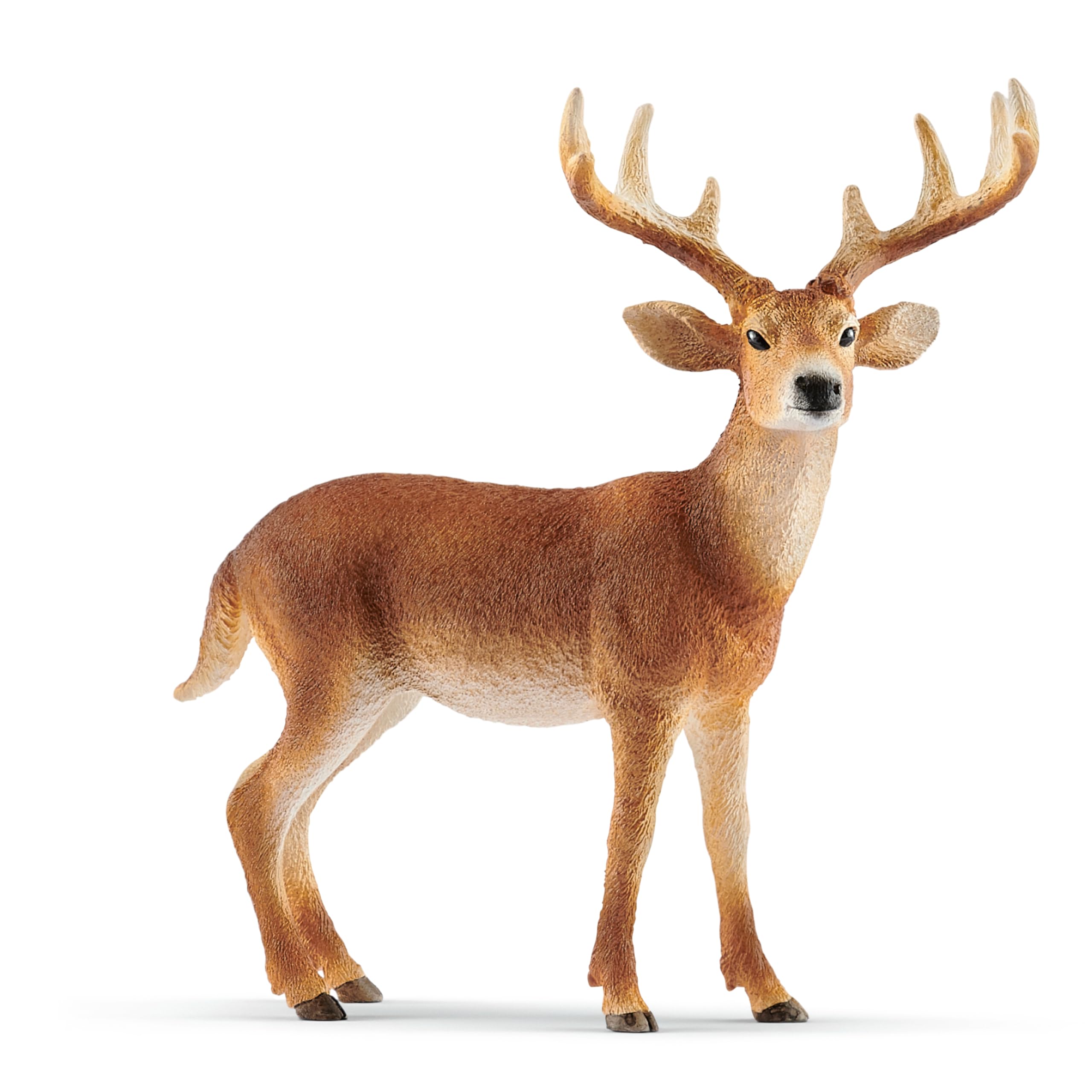 SCHLEICH 14818 White-tailed buck, from 3 years WILD LIFE - Figurine, 11 x 5 x 10 cm
