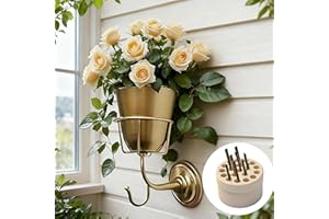 BGIYA Opal Wall Vessel with Hooks, Multifunctional Iron Flower Pot for Indoor/Outdoor Use - Holds Real/Artificial Flowers, Keys, Decor, Includes Perforated Stem Holder & Mounting Screws (Gold)