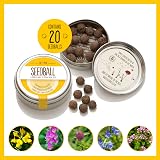 Seedball Bee Mix Seed Balls (Wild Flower Tin) 20 Pack UK Native Seeds view 2