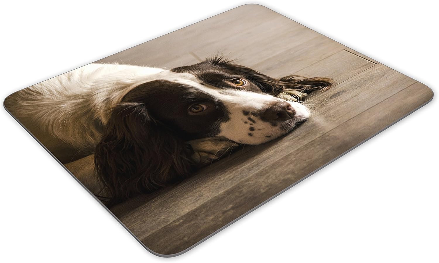 Destination Vinyl Ltd Beautiful Springer Spaniel Dog Mouse Mat Pad - Puppy Dogs PC Computer #8725, Multicolor - Image 4