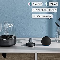 WiiM Mini AirPlay 2 Wireless Audio