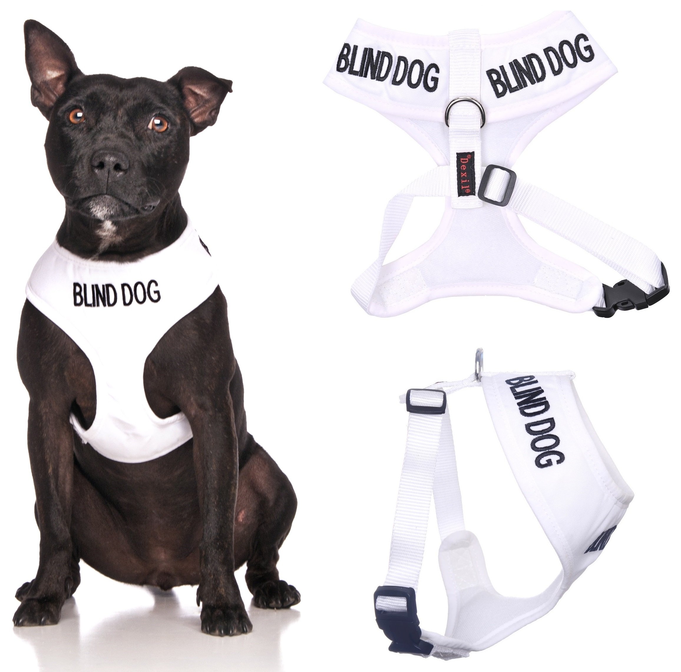 BLIND DOG (Dog Has Limited/No Sight) White Colour Coded Non-Pull Front and Back D Ring Padded and Waterproof Vest Dog Harness PREVENTS Accidents By Warning Others Of Your Dog In Advance (M) โ image 1
