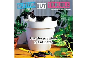 Graphique 2026 Nuthin' But Trouble Wall Calendar | 12” x 12” | Thick Paper | Home & Office Organizer | Large Monthly Grid | 3