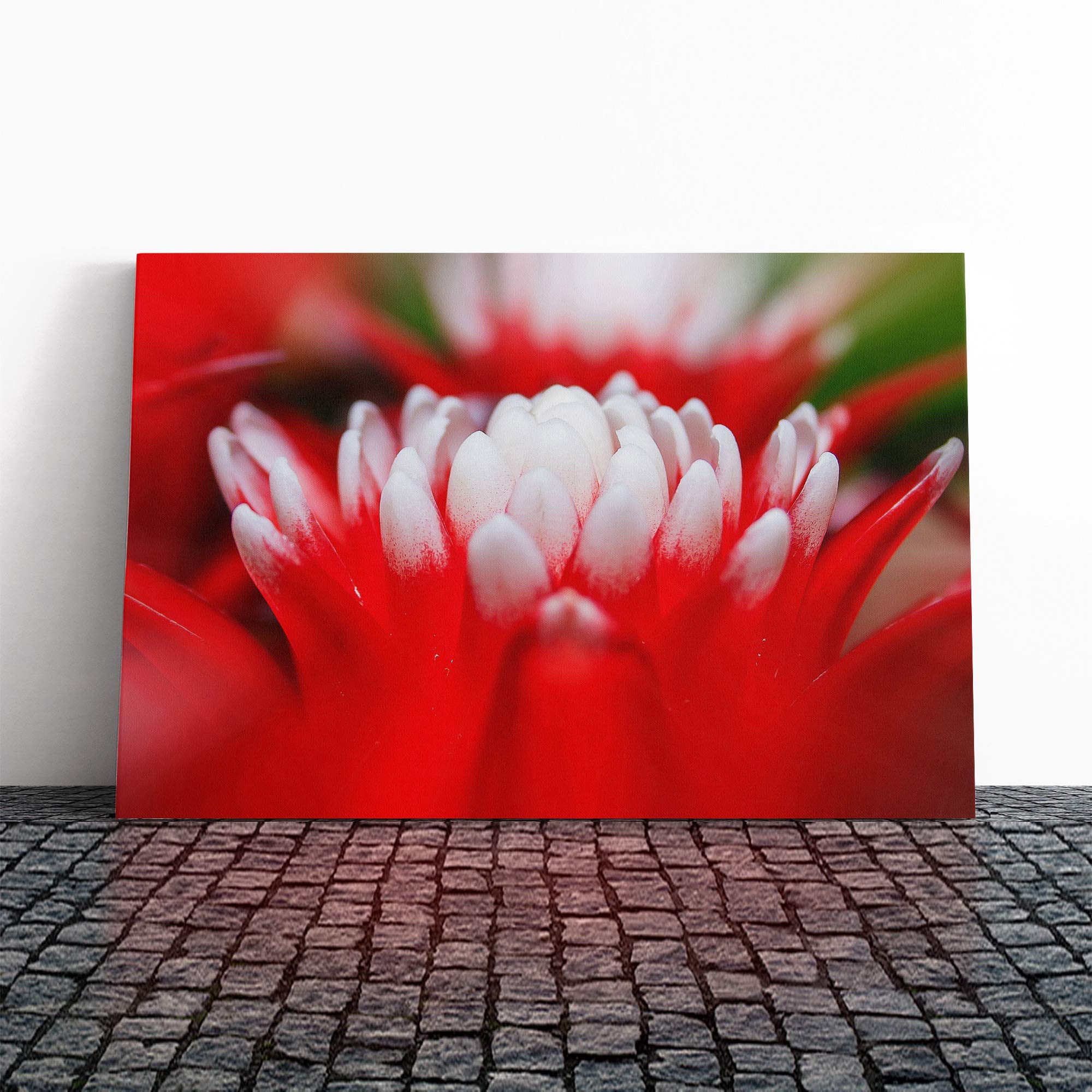 Flower Pink Bromeliad Canvas Print | Gallery Wrapped 30mm Frame Wall Art | 20x14 inches | Ready to Hang | Modern Floral Picture | Living Room Bedroom Lounge Office