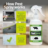 EFA International Mouse Pest Spray Peppermint Oil Humane indoor outdoor view 3