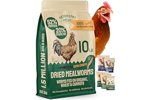 Hatortempt Bulk Dried Mealworms - 10 Lb Bag - Non-GMO Dried Mealworms for Chickens, Ducks & Wild Birds - High-Protein Chicken Feed & Bird Food