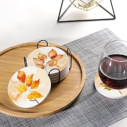 Fall Drink Absorbent Coasters with Holder Set of