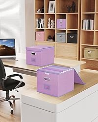 Oterri 3 Pack File Organizer Box,File Box,Small