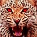 Life Of Cheetah
