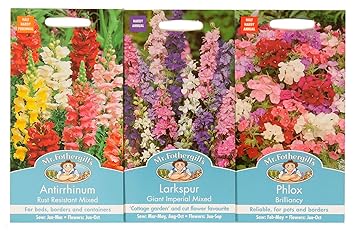 Mr Fothergill S Seeds Cottage Garden Flowers Collection Amazon Co