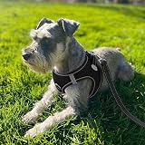 Joytale Step in Dog Harness Soft Mesh Reflective Easy Walk Vest XS XXXS Black view 2