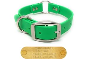 Regal Dog Products Medium Lime Green Dog Collar with Custom Engraved Name Plate - Custom Fit, Resistant Easy to Clean Biothan