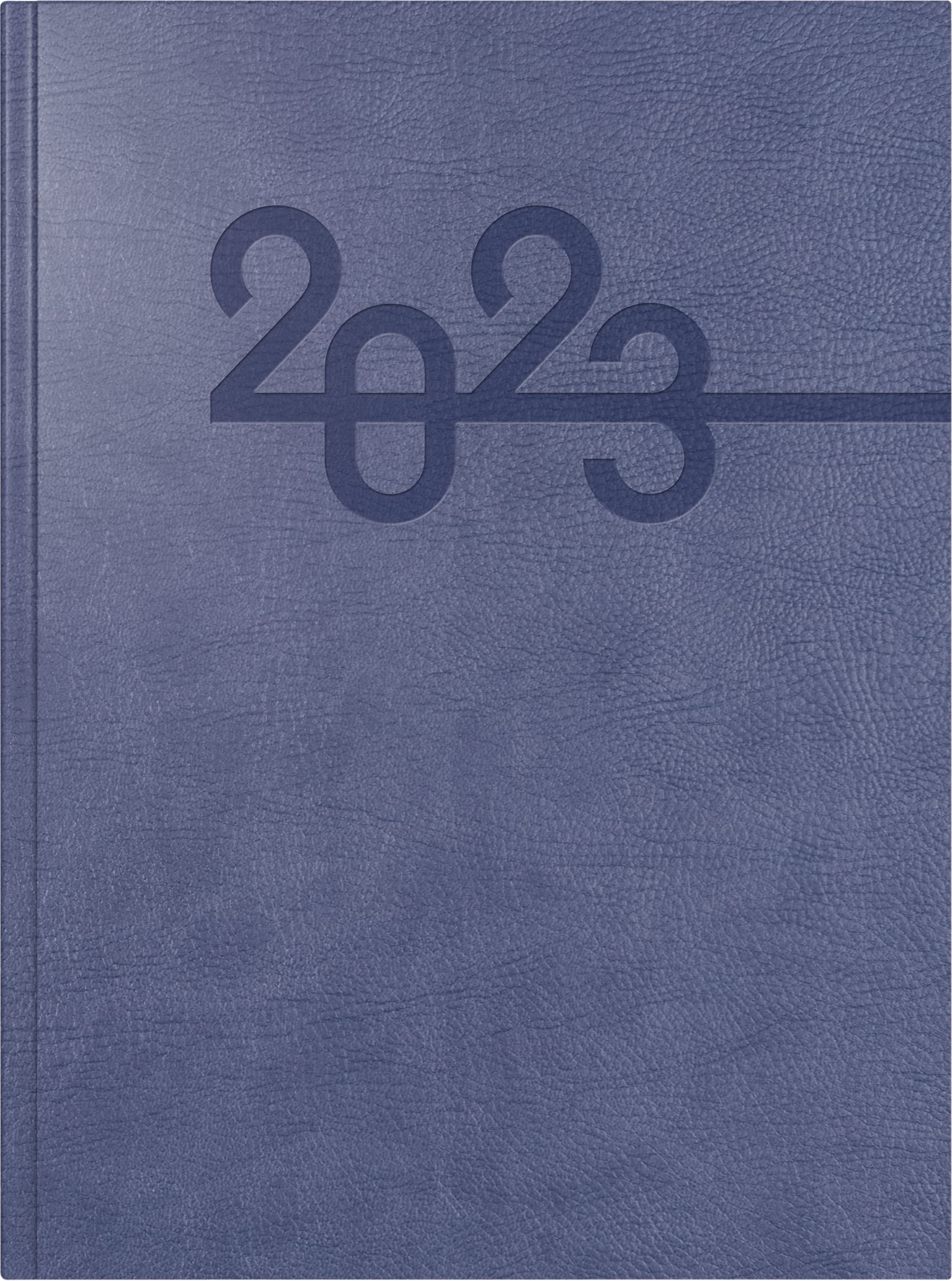 rido/idé Mentor 2023 Daily Calendar Desk Planner Date Book Sheet Size 14.8 x 20.8 cm Blue