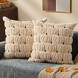 DFXSZ Fall Pillow Covers 18x18 Set of 2 Fall