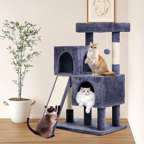 FDW CAT TREE FOR INDOOR CATS 36 INCHES CAT TOWER MULTI-LEVEL INDOOR CAT PLAY CONDO HOUSE WITH SCRATCHING POSTS, SPACIOUS PERCH, SISAL POSTS AND DANGLING TOYS (DARK GREY)